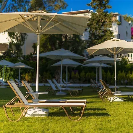 Liv By Bellazure אקיארלר