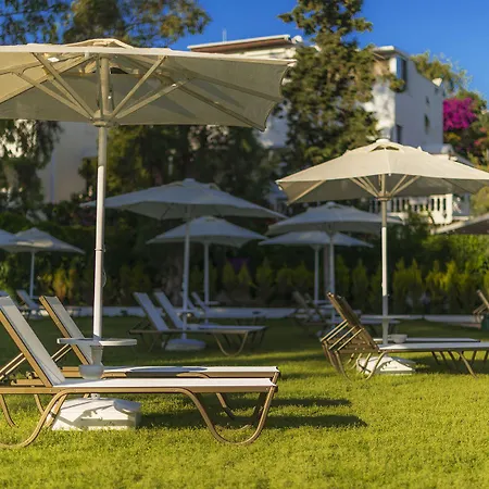 Liv By Bellazure 4* אקיארלר