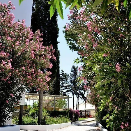 Liv By Bellazure אקיארלר