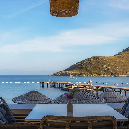 Otel Liv By Bellazure