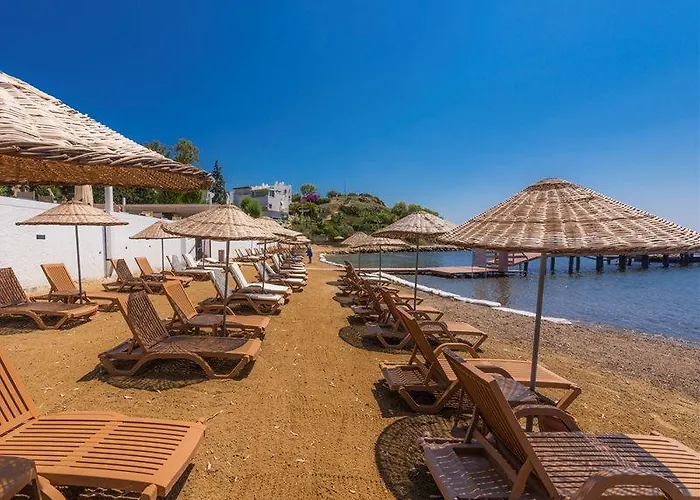 Hotel Liv By Bellazure