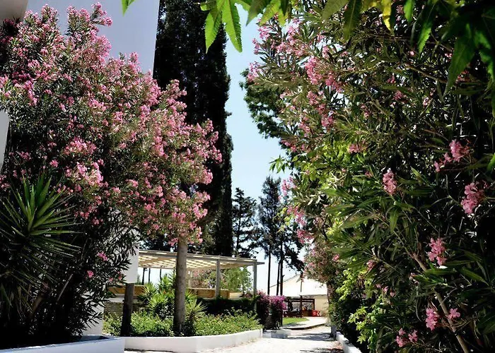 Liv By Bellazure Akiarlar