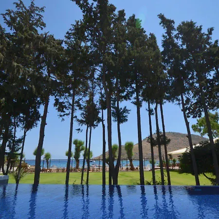 Liv By Bellazure 4* 阿克亚拉尔