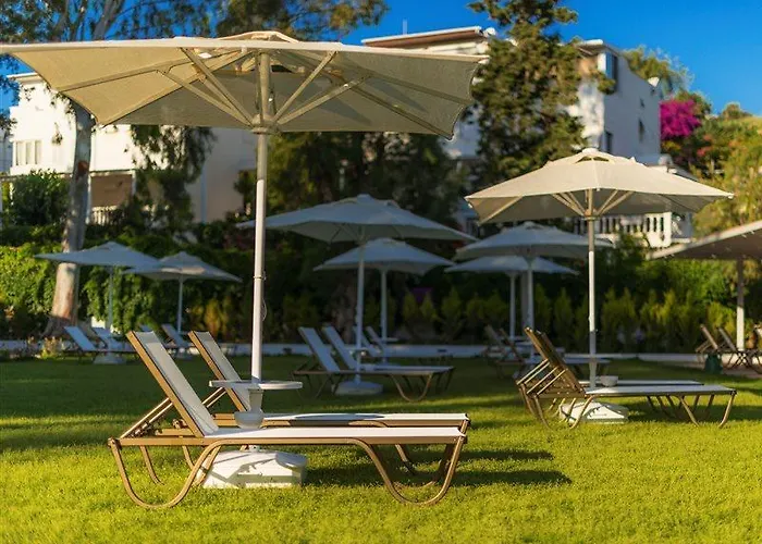 Liv By Bellazure Akyarlar