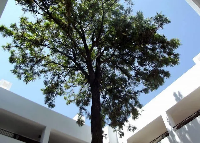 Liv By Bellazure Hotel 4*