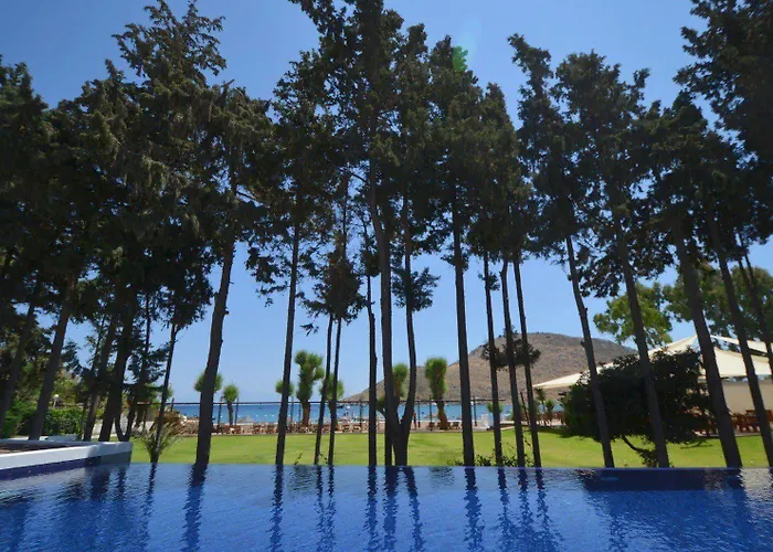 Liv By Bellazure 4* Akyarlar